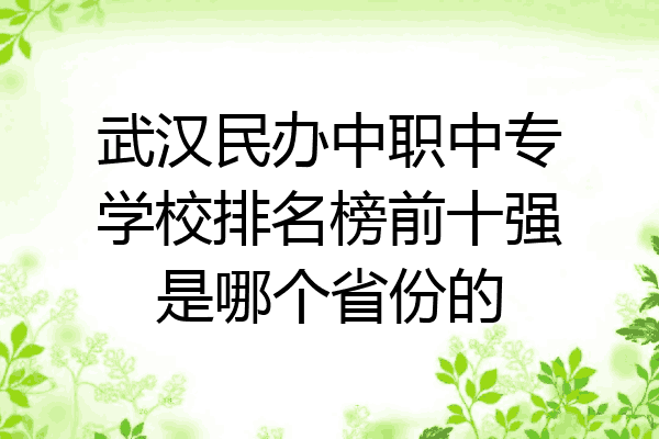 武汉民办中职中专学校排名榜前十强是哪个省份的