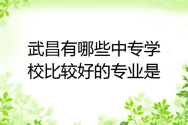 武昌有哪些中专学校比较好的专业是