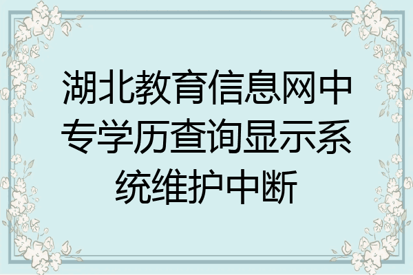 湖北教育信息网中专学历查询显示系统维护中断