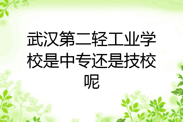 武汉第二轻工业学校是中专还是技校呢
