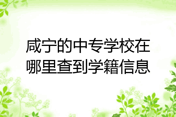 咸宁的中专学校在哪里查到学籍信息