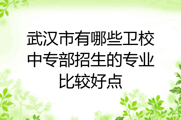 武汉市有哪些卫校中专部招生的专业比较好点