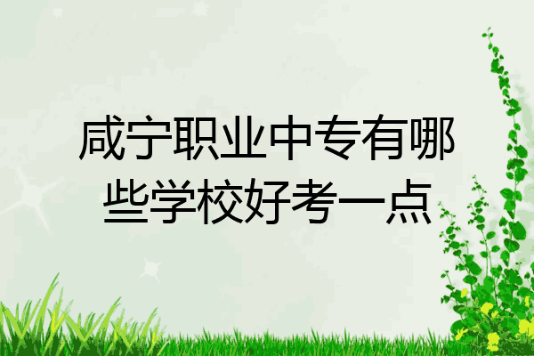 咸宁职业中专有哪些学校好考一点