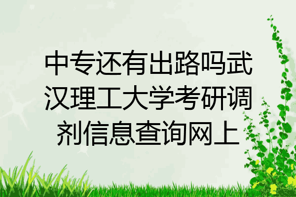 中专还有出路吗武汉理工大学考研调剂信息查询网上
