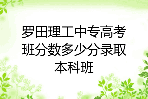 罗田理工中专高考班分数多少分录取本科班