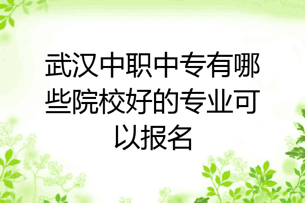 武汉中职中专有哪些院校好的专业可以报名