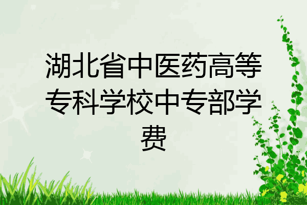 湖北省中医药高等专科学校中专部学费