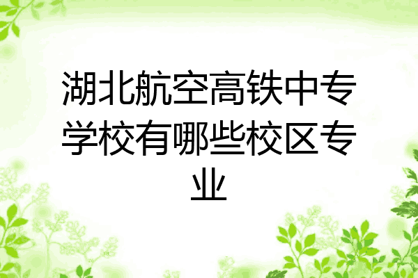 湖北航空高铁中专学校有哪些校区专业