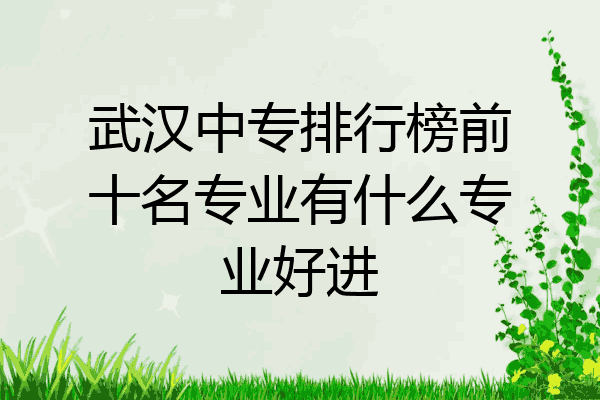 武汉中专排行榜前十名专业有什么专业好进