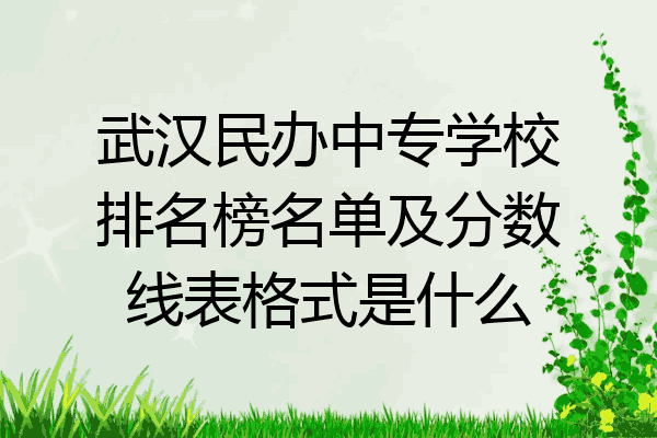 武汉民办中专学校排名榜名单及分数线表格式是什么