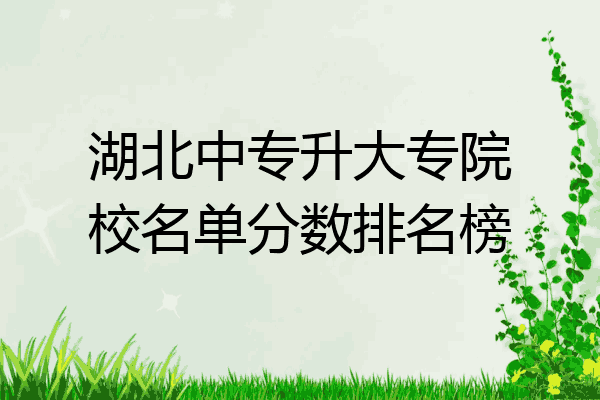 湖北中专升大专院校名单分数排名榜