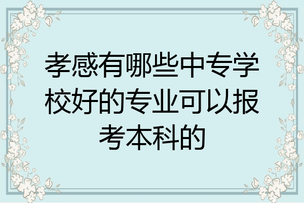 孝感有哪些中专学校好的专业可以报考本科的