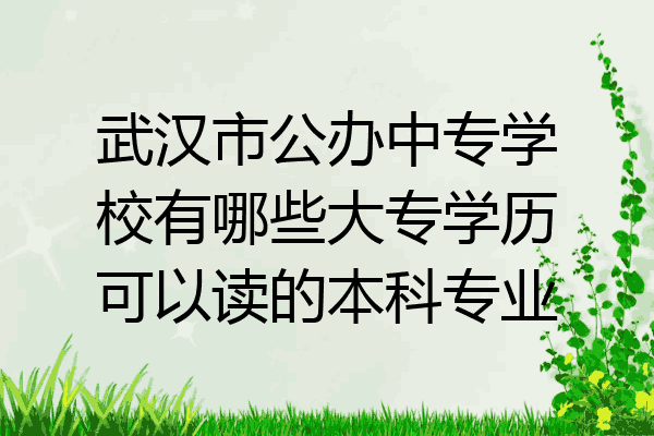 武汉市公办中专学校有哪些大专学历可以读的本科专业