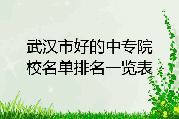 武汉市好的中专院校名单排名一览表