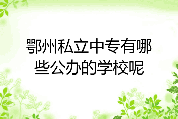 鄂州私立中专有哪些公办的学校呢