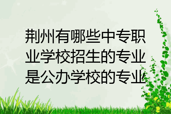 荆州有哪些中专职业学校招生的专业是公办学校的专业