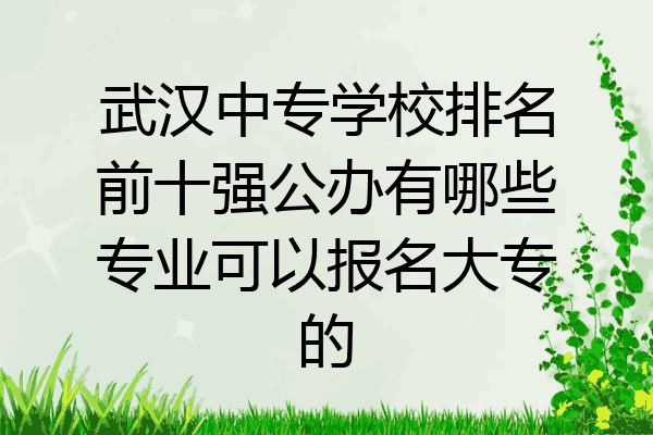 武汉中专学校排名前十强公办有哪些专业可以报名大专的