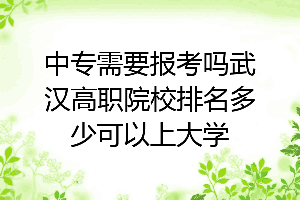 中专需要报考吗武汉高职院校排名多少可以上大学