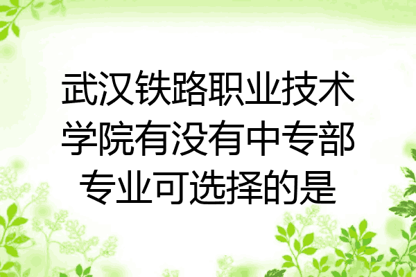 武汉铁路职业技术学院有没有中专部专业可选择的是