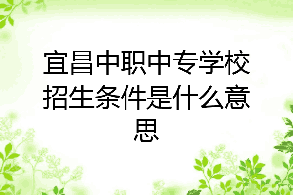 宜昌中职中专学校招生条件是什么意思
