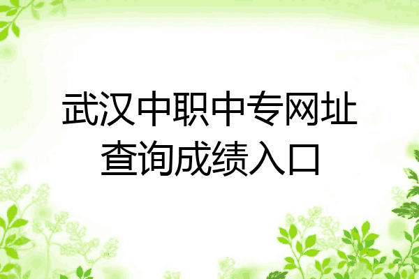 武汉中职中专网址查询成绩入口