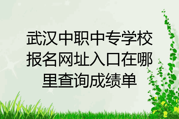 武汉中职中专学校报名网址入口在哪里查询成绩单