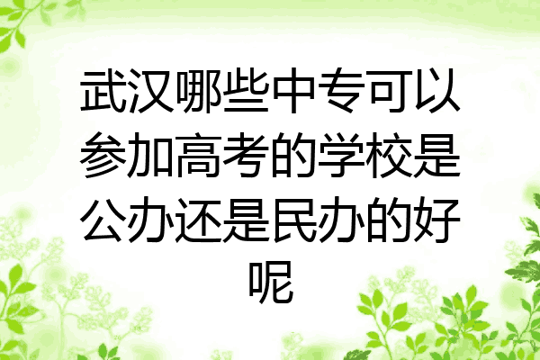 武汉哪些中专可以参加高考的学校是公办还是民办的好呢