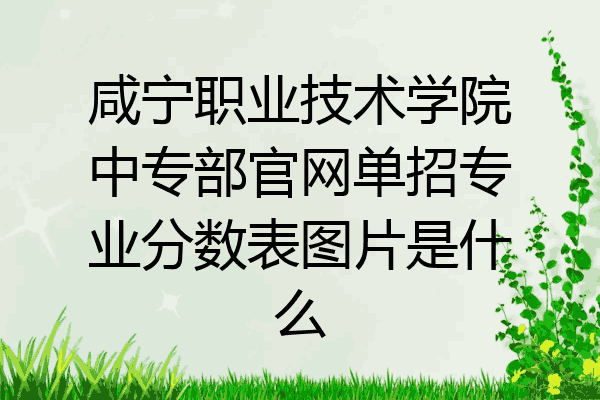 咸宁职业技术学院中专部官网单招专业分数表图片是什么