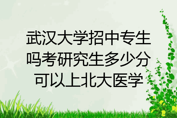 武汉大学招中专生吗考研究生多少分可以上北大医学