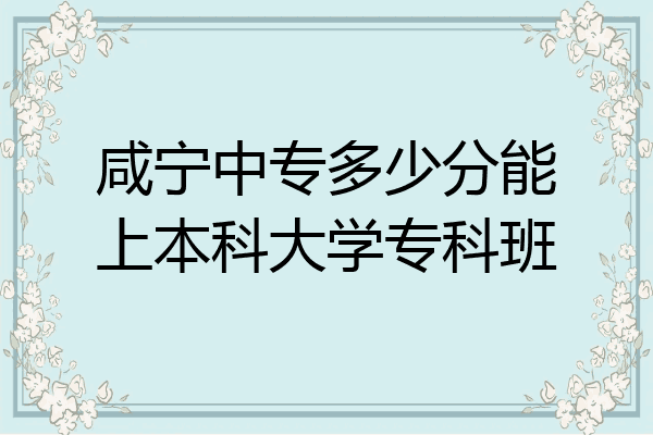 咸宁中专多少分能上本科大学专科班