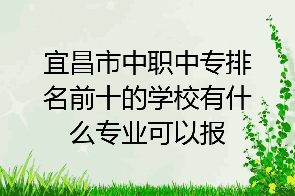 宜昌市中职中专排名前十的学校有什么专业可以报