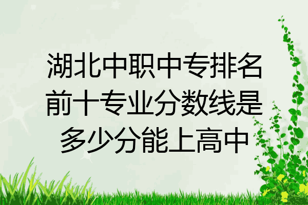 湖北中职中专排名前十专业分数线是多少分能上高中