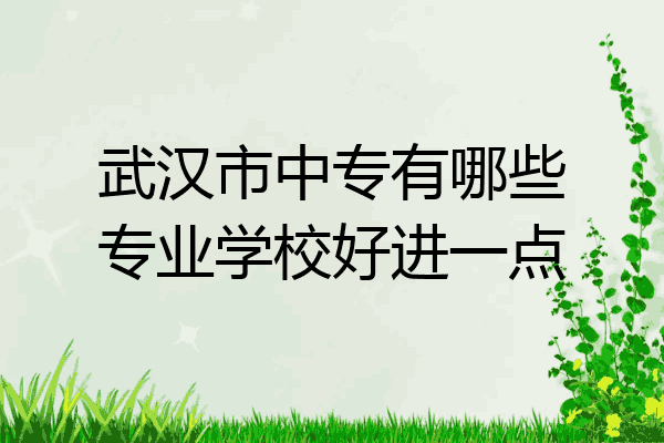武汉市中专有哪些专业学校好进一点