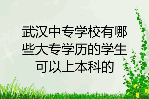武汉中专学校有哪些大专学历的学生可以上本科的