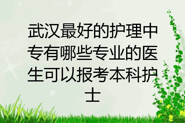 武汉最好的护理中专有哪些专业的医生可以报考本科护士