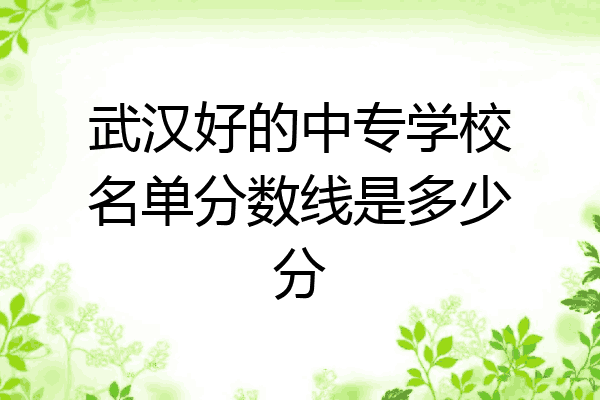 武汉好的中专学校名单分数线是多少分
