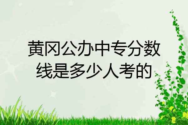 黄冈公办中专分数线是多少人考的