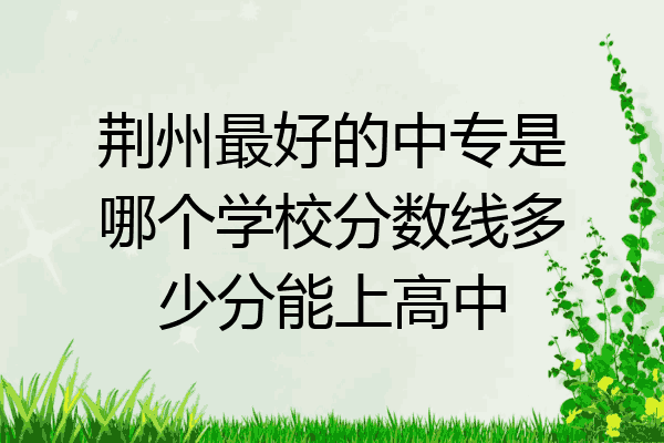 荆州最好的中专是哪个学校分数线多少分能上高中