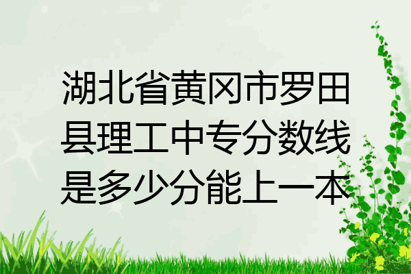 湖北省黄冈市罗田县理工中专分数线是多少分能上一本