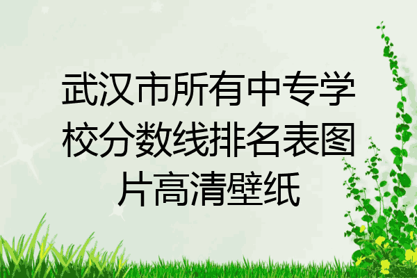 武汉市所有中专学校分数线排名表图片高清壁纸
