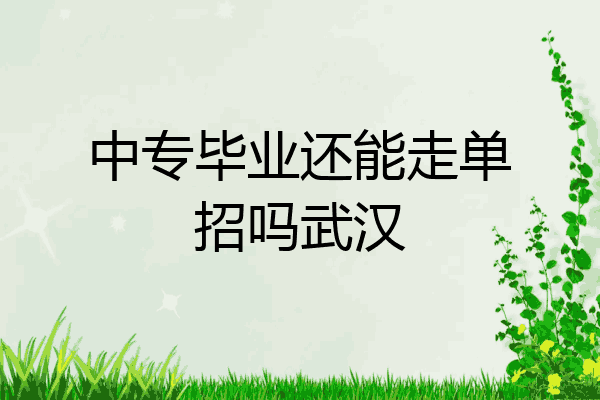 中专毕业还能走单招吗武汉