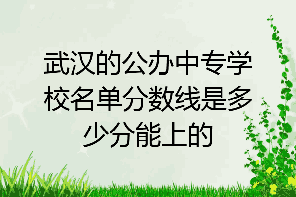 武汉的公办中专学校名单分数线是多少分能上的