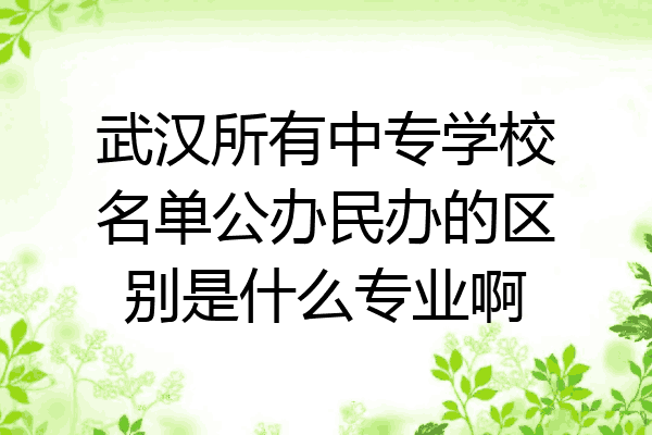 武汉所有中专学校名单公办民办的区别是什么专业啊