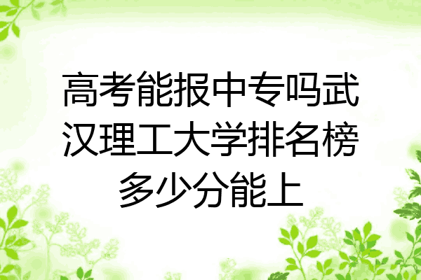 高考能报中专吗武汉理工大学排名榜多少分能上
