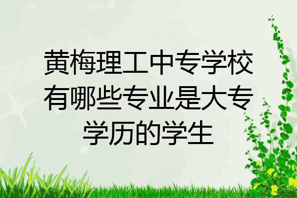 黄梅理工中专学校有哪些专业是大专学历的学生