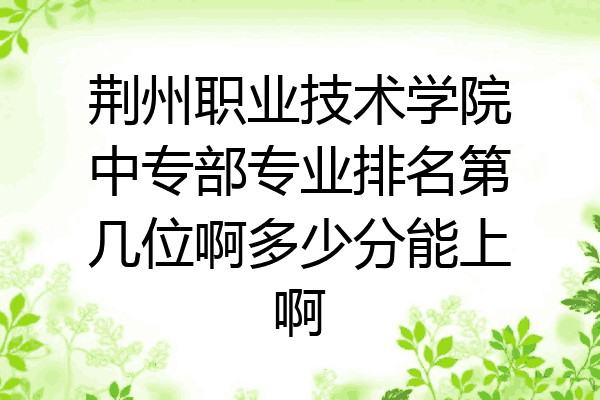 荆州职业技术学院中专部专业排名第几位啊多少分能上啊