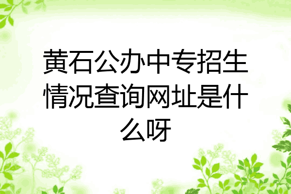 黄石公办中专招生情况查询网址是什么呀