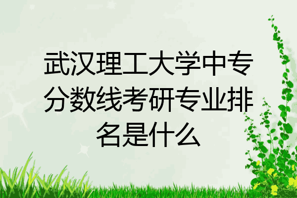武汉理工大学中专分数线考研专业排名是什么