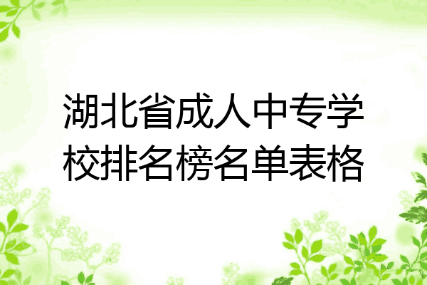 湖北省成人中专学校排名榜名单表格