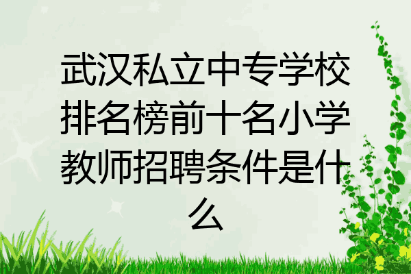 武汉私立中专学校排名榜前十名小学教师招聘条件是什么